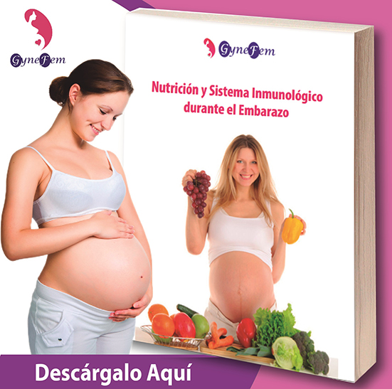 Ebook Nutrición durante el Embarazo